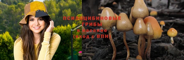 индика Алексеевка