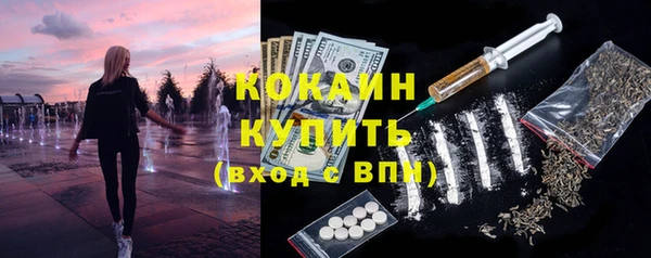 индика Алексеевка