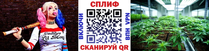 МАРИХУАНА сатива  Джанкой 